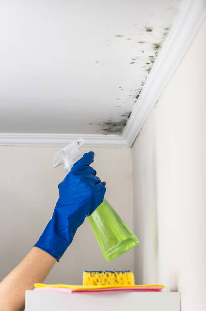 Best Mold Testing  in Spencerport, NY